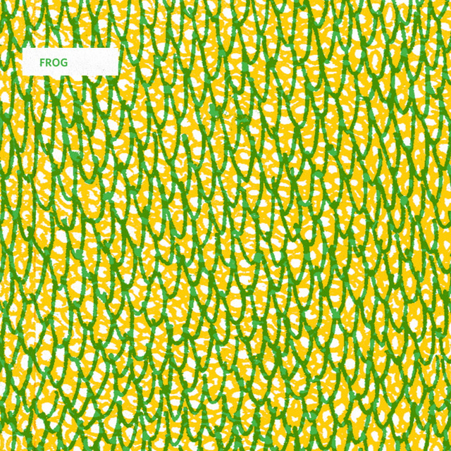 Frog cover art