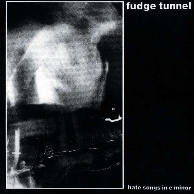 Hate Songs in E minor cover art
