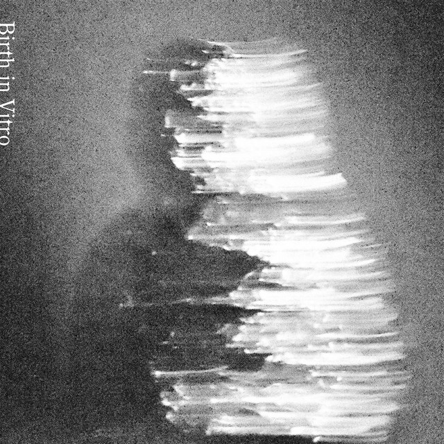 Birth in Vitro cover art