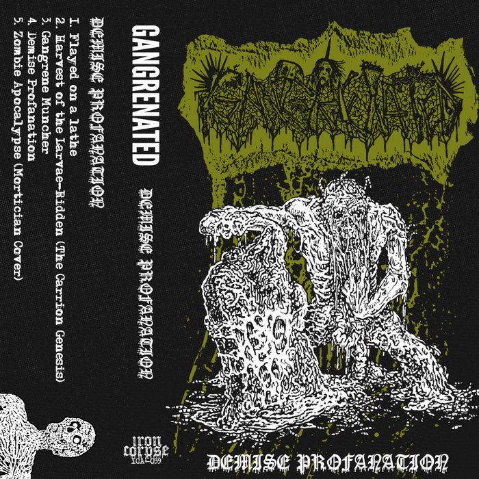 Demise Profanation cover art