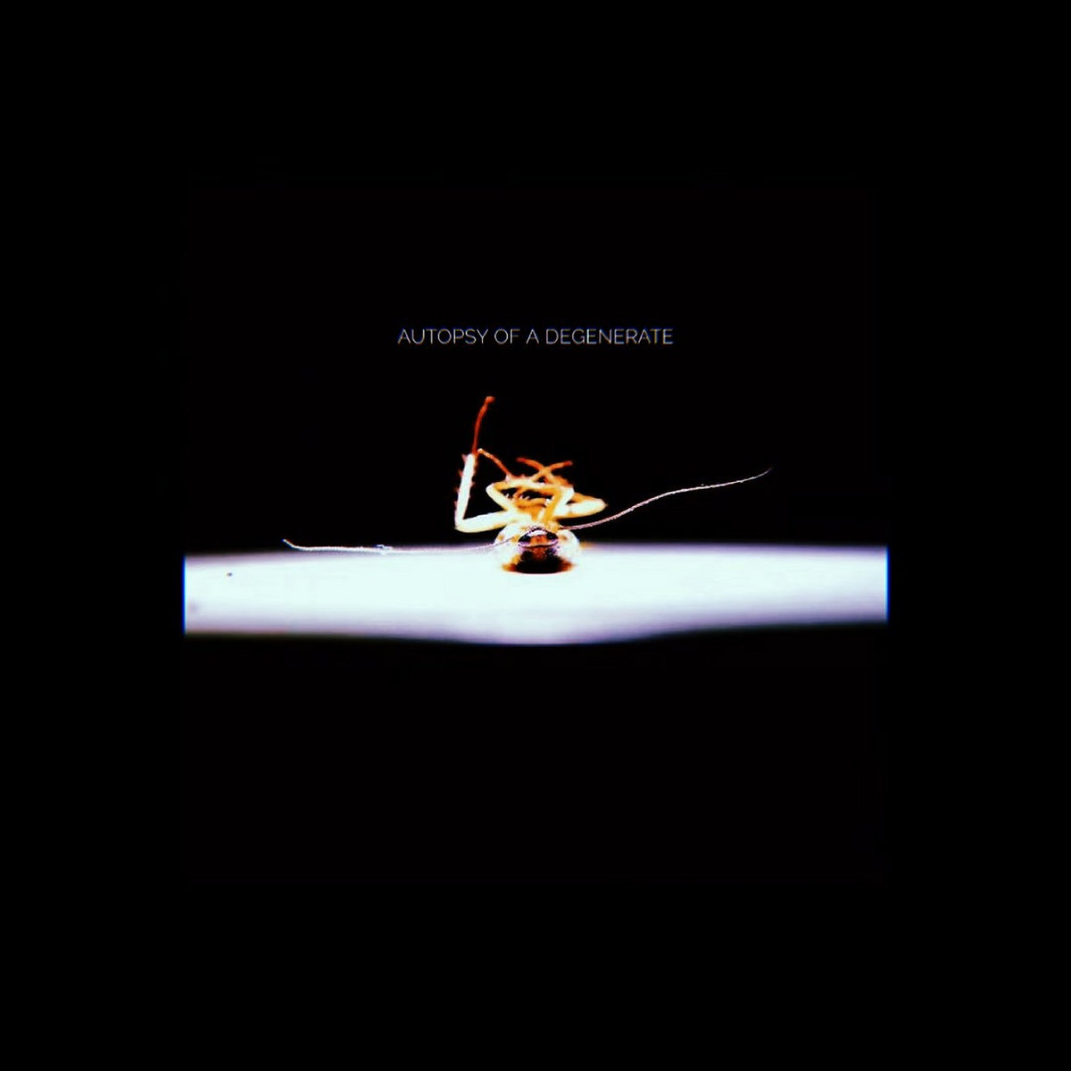 DEGENERATE cover art