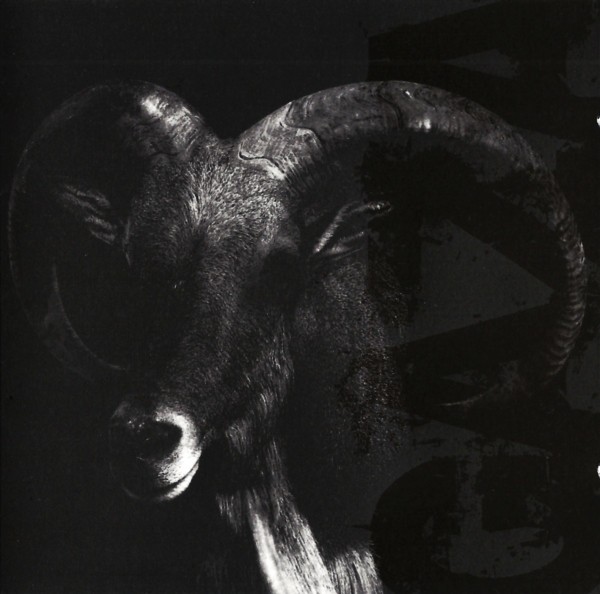 I Don't Care Where I Go When I Die cover art