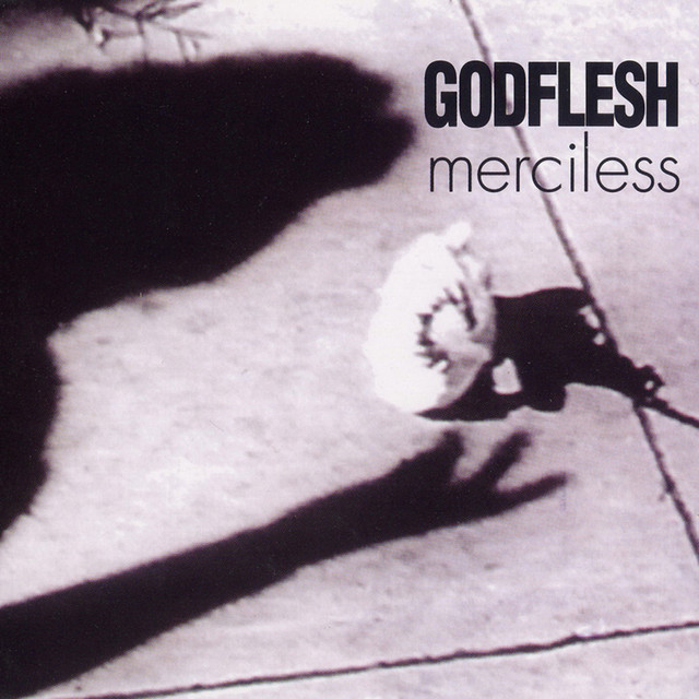 Merciless cover art