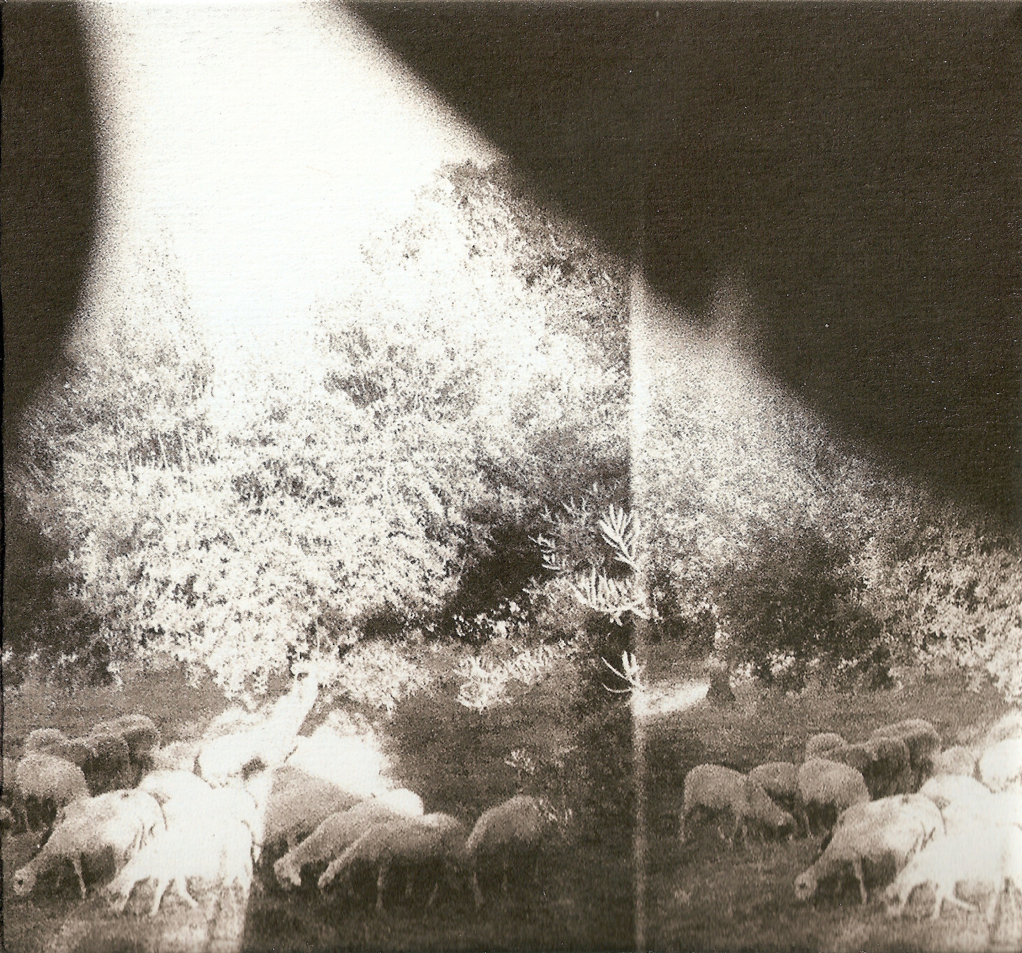'Asunder, Sweet and Other Distress' cover art