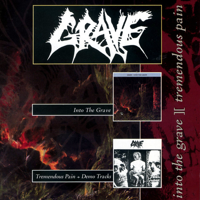 Into the Grave cover art