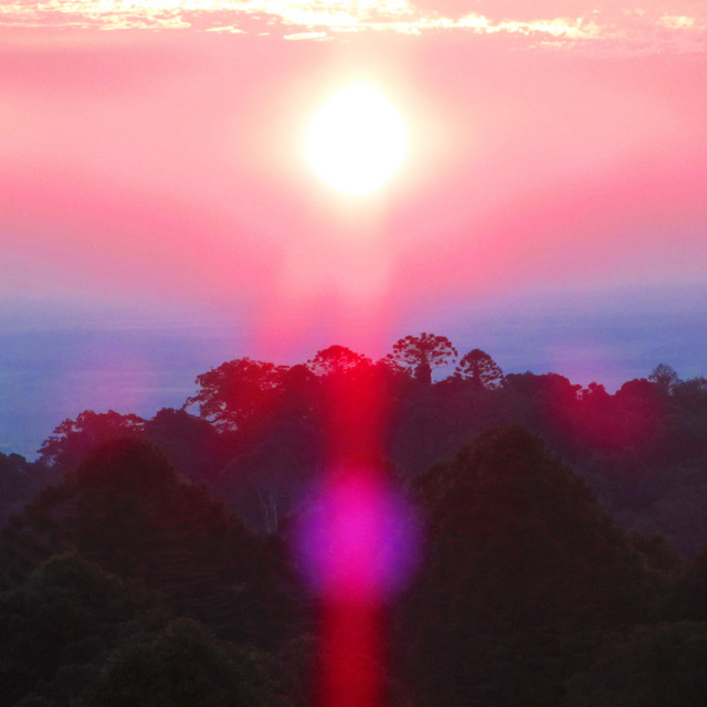 Paradise Valley cover art