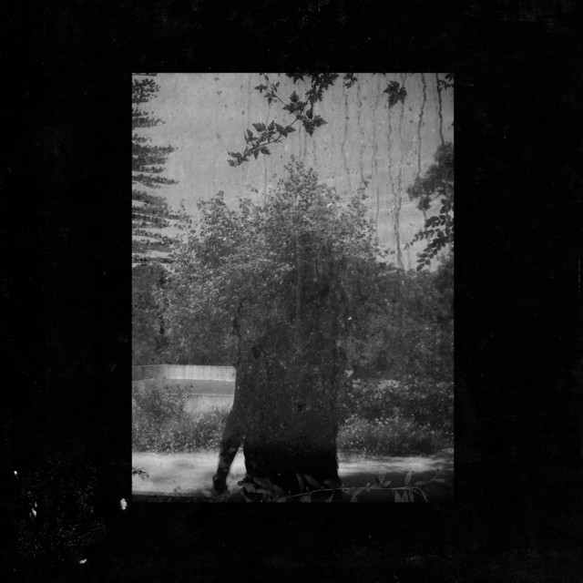 Ruins cover art