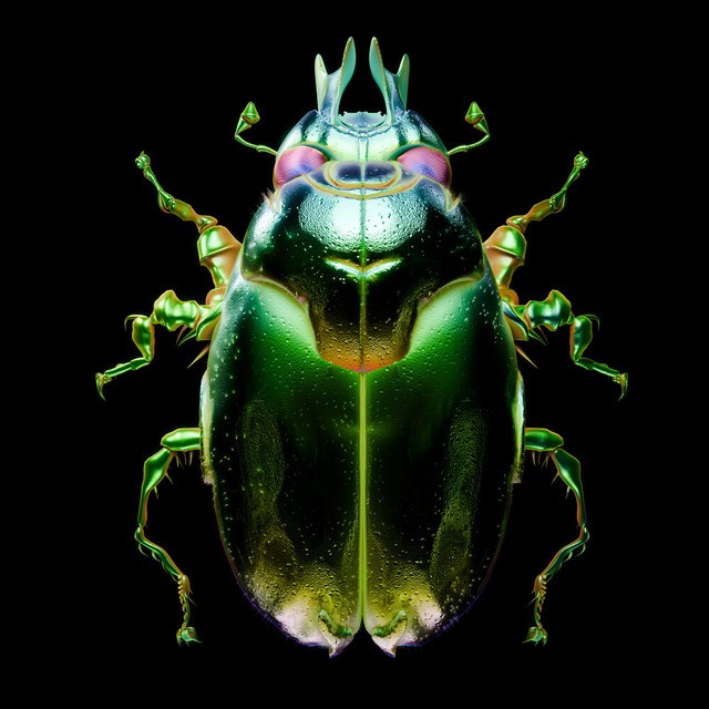 Beetle cover art