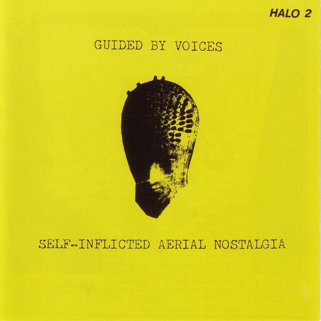 Self-Inflicted Aerial Nostalgia cover art