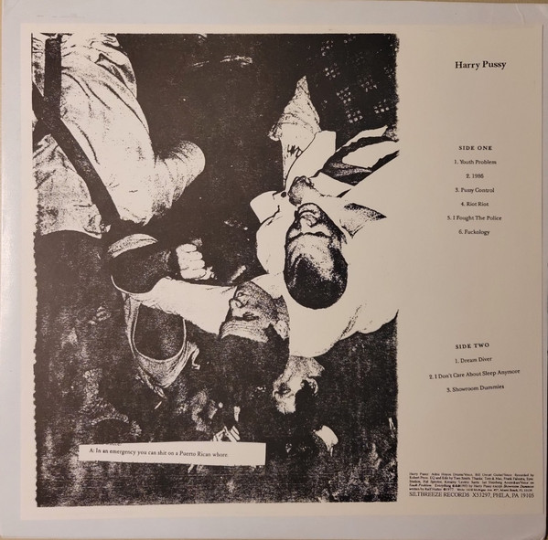 Harry Pussy cover art