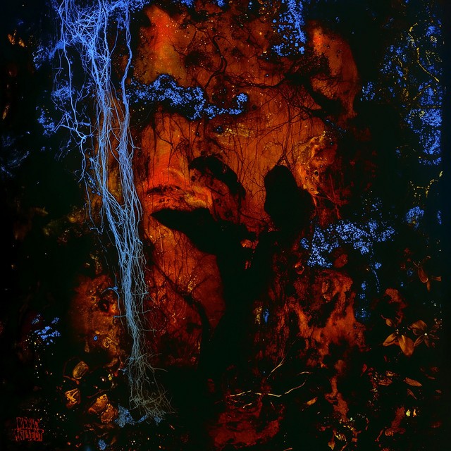 Insa cover art