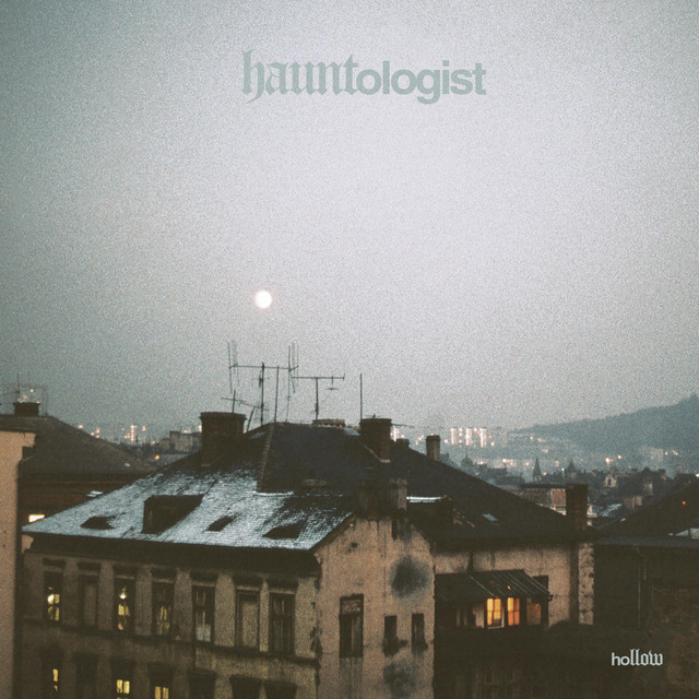 Hollow cover art