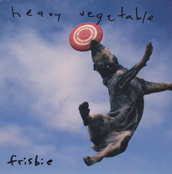 Frisbie cover art