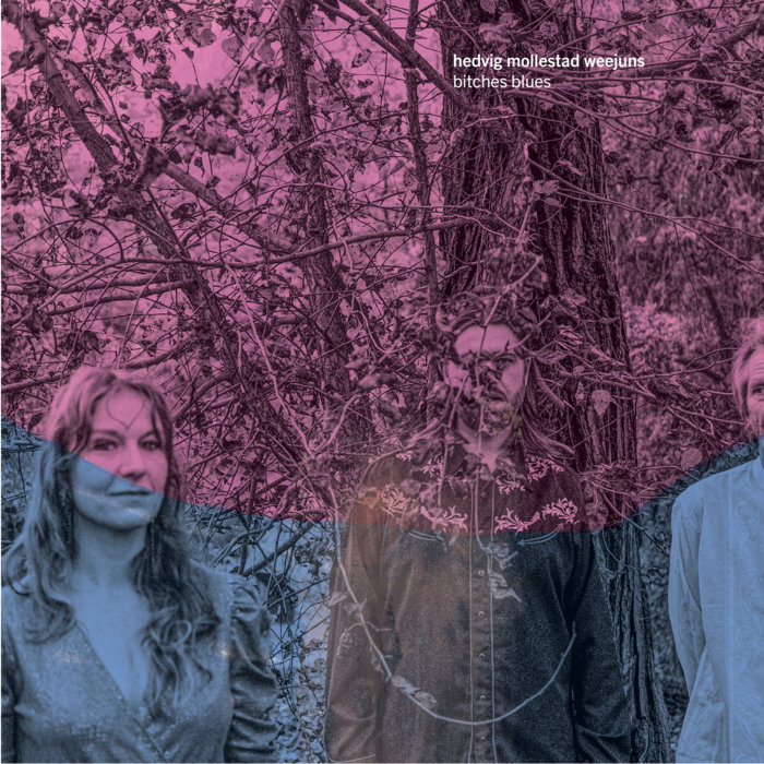 Bitches Blues cover art