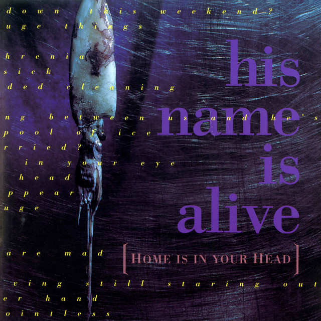 Home Is in Your Head cover art