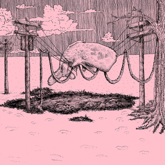 The Whaler cover art
