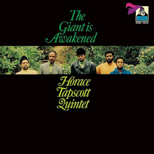 The Giant Is Awakened cover art