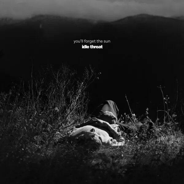 You'll Forget the Sun cover art