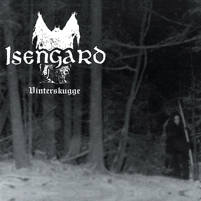 Vinterskugge cover art