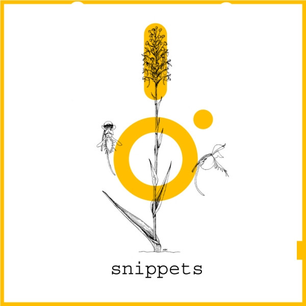 Snippets cover art