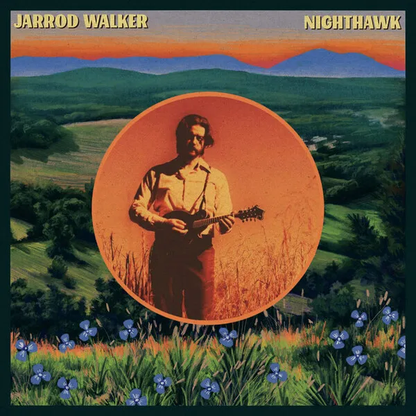 Nighthawk cover art
