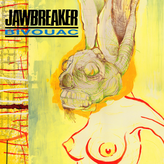 Bivouac cover art