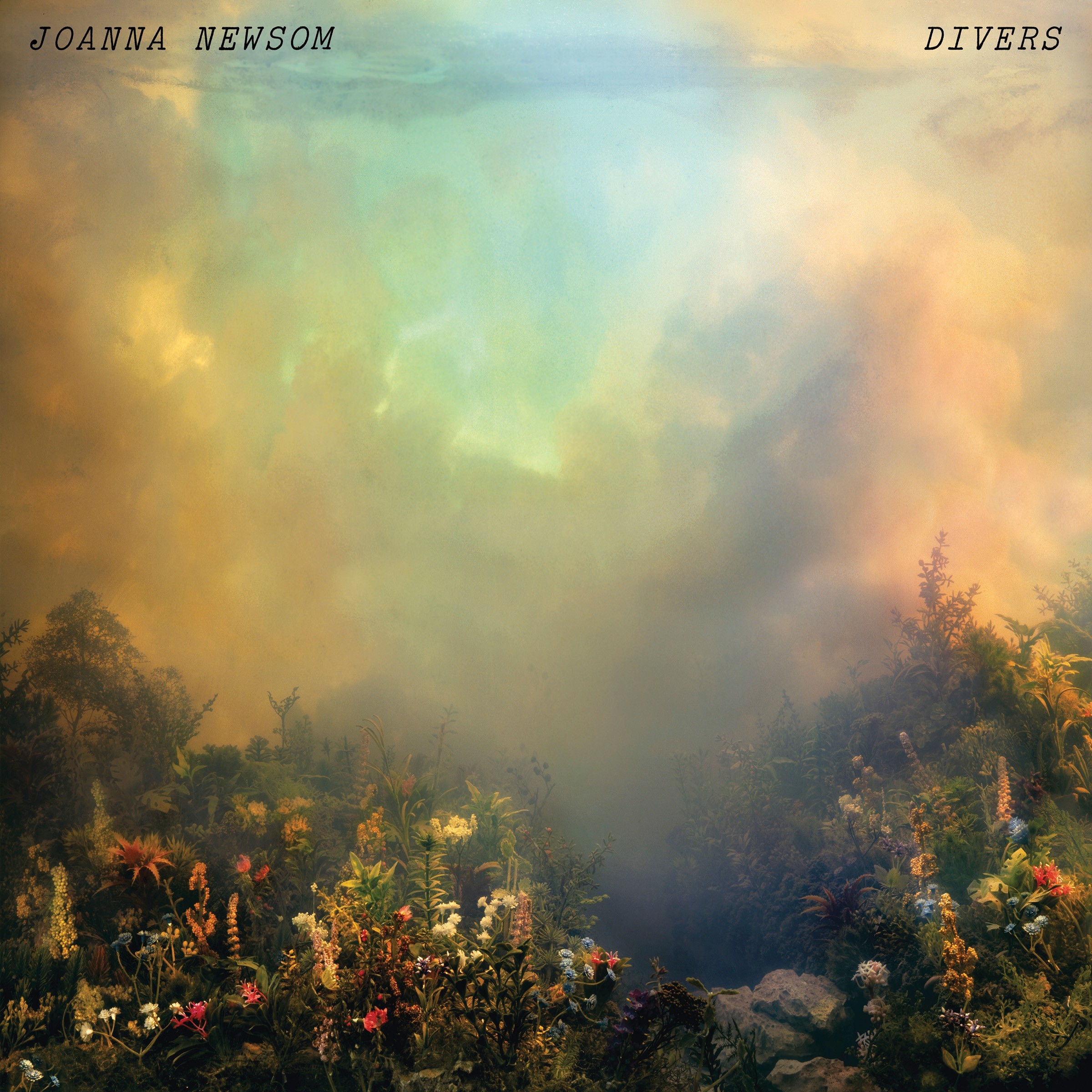Divers cover art