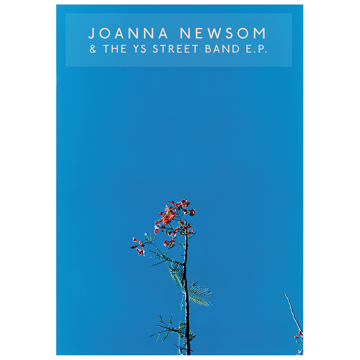 Joanna Newsom & The Ys Street Band E.P. cover art
