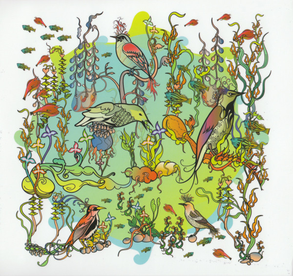 O'o cover art