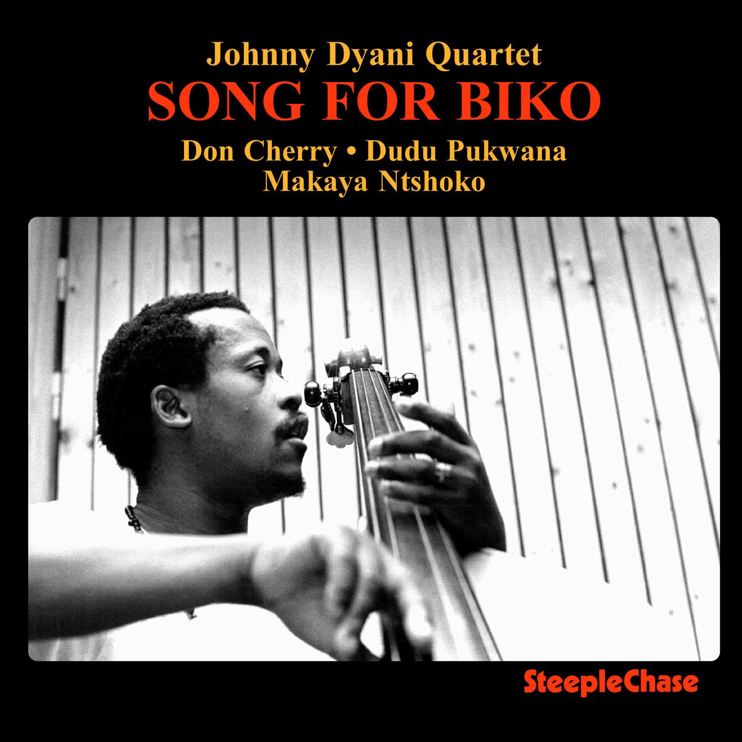 Song for Biko cover art