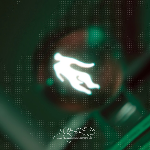 Sorry I Thought You Were Someone Else cover art