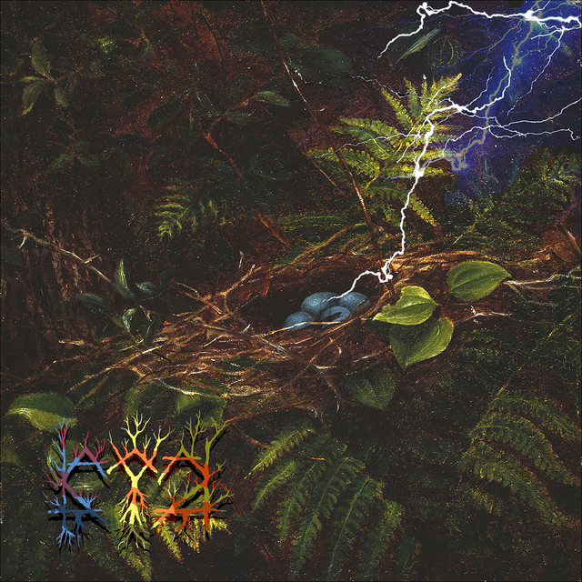 Só quem viu o relâmpago à sua direita sabe cover art