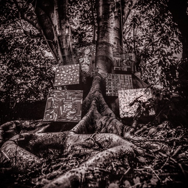 Harmony of Difference cover art