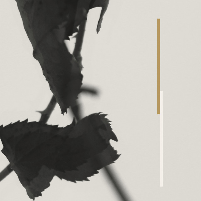 Grafts cover art