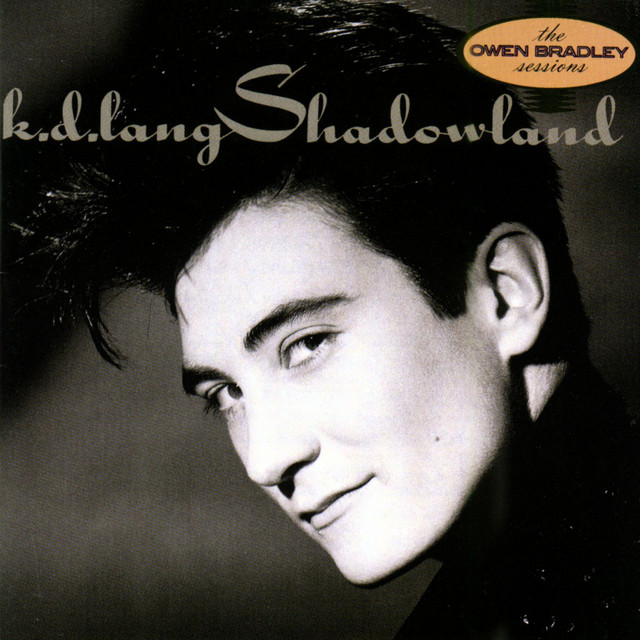 Shadowland cover art