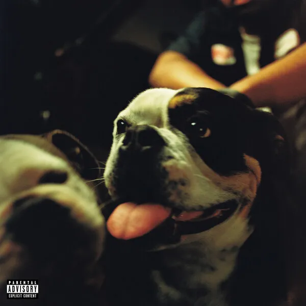 Bulldawg cover art