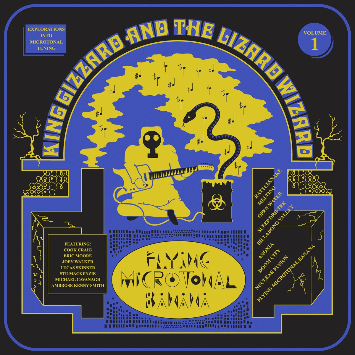 Flying Microtonal Banana cover art