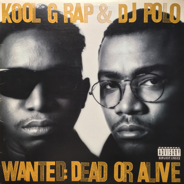 Wanted: Dead or Alive cover art