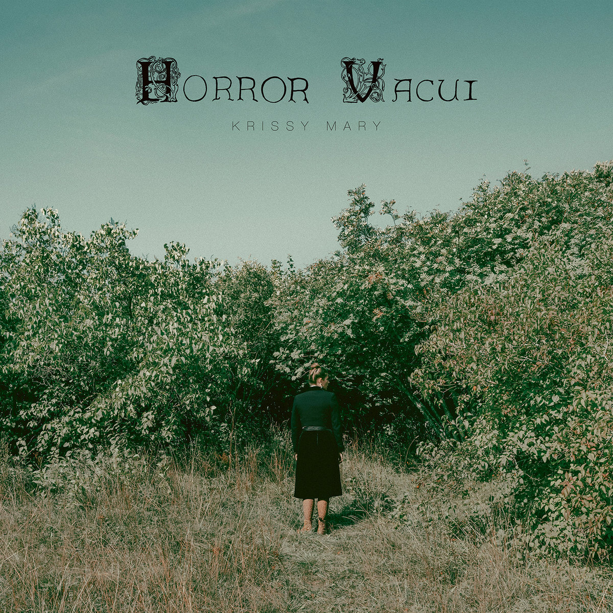Horror Vacui cover art