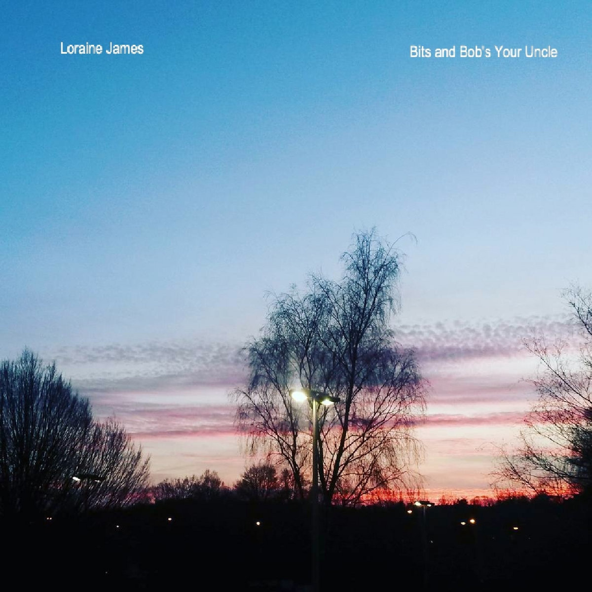 Bits and Bob's Your Uncle cover art