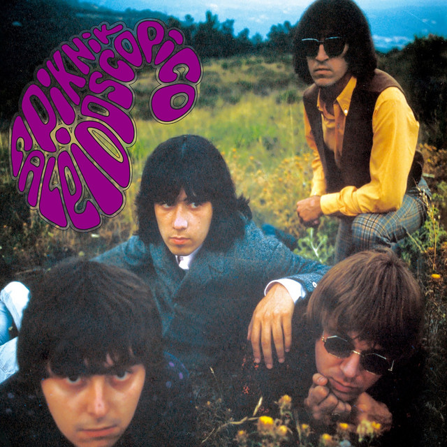 Piknik Caleidoscópico cover art