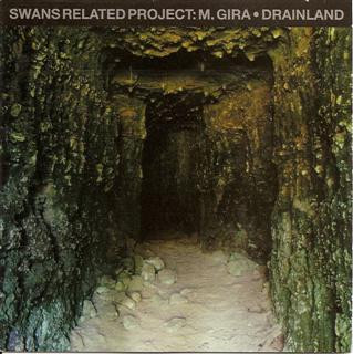 Drainland cover art
