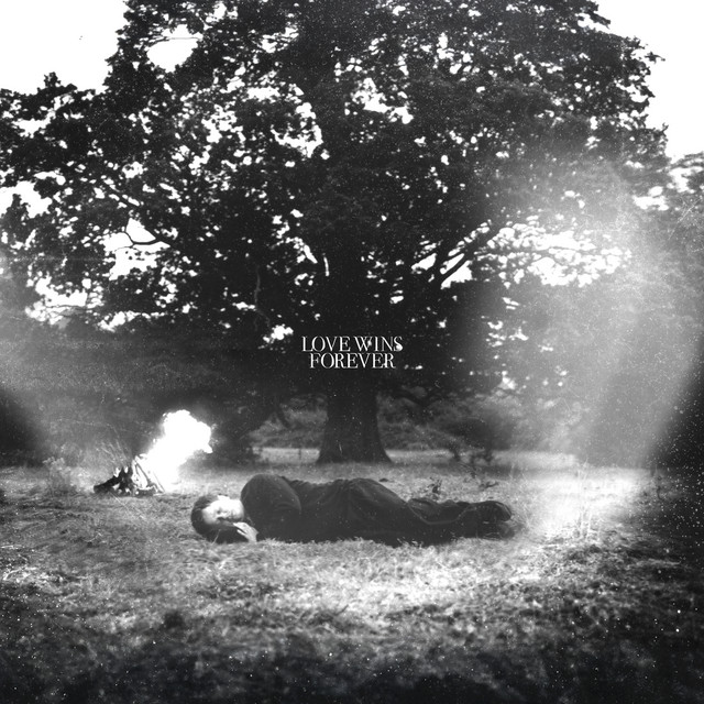 LOVE WINS FOREVER cover art