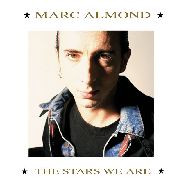 The Stars We Are cover art
