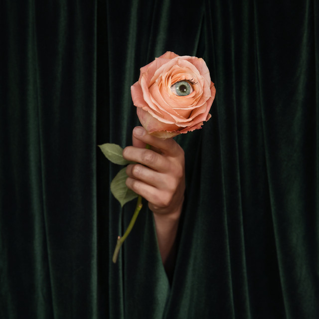 Unusual cover art