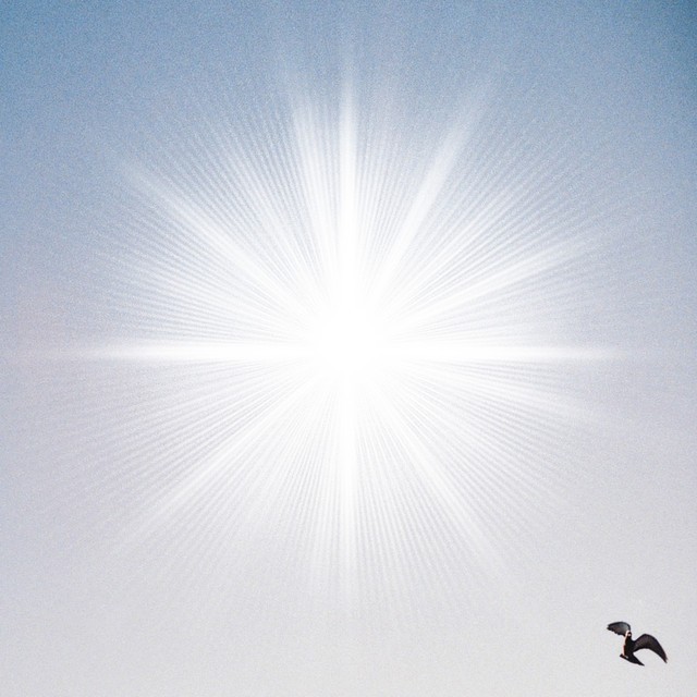 Tout ce qui brille cover art