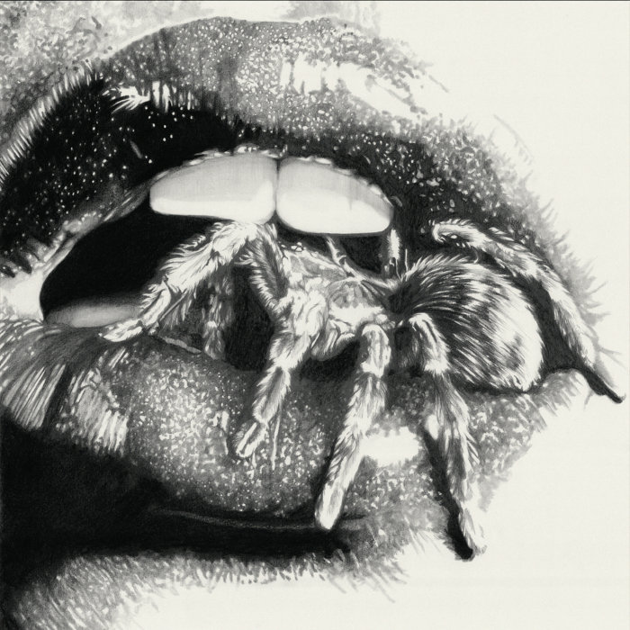 Let The Spiders In cover art