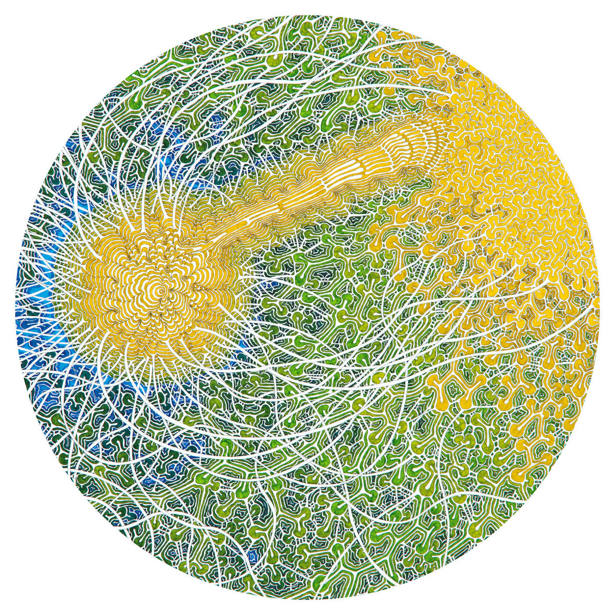 Feeling Is Structure cover art