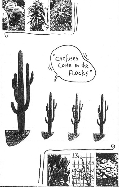 Cactuses Come in the Flocks cover art