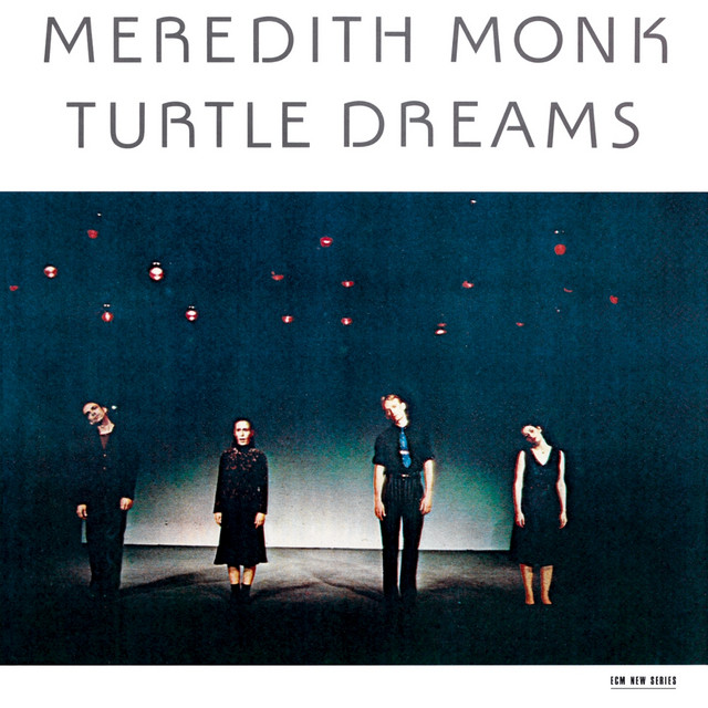 Turtle Dreams cover art